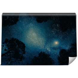 Fototapeta samoprzylepna Ciemne drzewa na tle nieba pełnego gwiazd