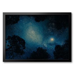 Obraz w ramie Ciemne drzewa na tle nieba pełnego gwiazd