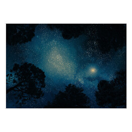 Plakat samoprzylepny Ciemne drzewa na tle nieba pełnego gwiazd