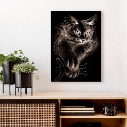 Obraz na płótnie Puszysty kot w ciemnym pomieszczeniu