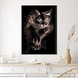 Plakat w ramie Puszysty kot w ciemnym pomieszczeniu