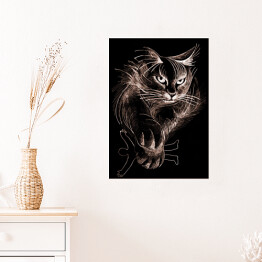 Plakat Puszysty kot w ciemnym pomieszczeniu