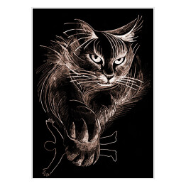 Plakat samoprzylepny Puszysty kot w ciemnym pomieszczeniu