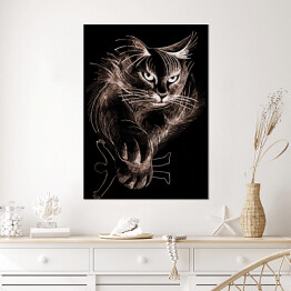 Plakat Puszysty kot w ciemnym pomieszczeniu