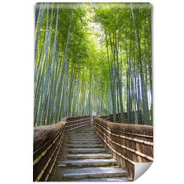 Fototapeta Bambusowy las - przejście blisko świątyni, Kyoto