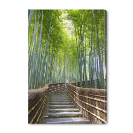 Obraz na płótnie Bambusowy las - przejście blisko świątyni, Kyoto