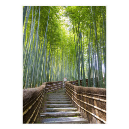 Plakat samoprzylepny Bambusowy las - przejście blisko świątyni, Kyoto