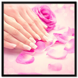 Plakat w ramie Kobiece dłonie w różowych płatkach róż