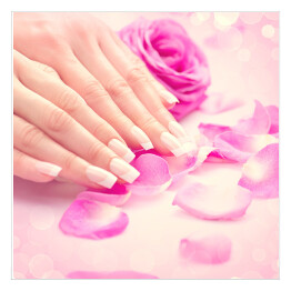 Plakat samoprzylepny Kobiece dłonie w różowych płatkach róż