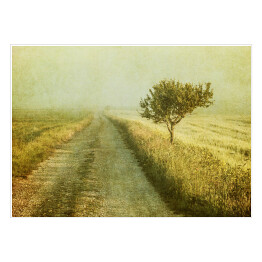 Plakat samoprzylepny Obraz drzewa na tle zamglonego pola