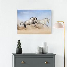 Obraz na płótnie Szaro białe konie biegnące po pustyni 
