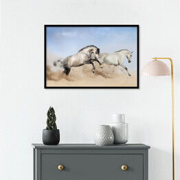 Plakat w ramie Szaro białe konie biegnące po pustyni 