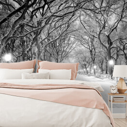Fototapeta samoprzylepna Central Park w Nowym Jorku pokryty śniegiem o świcie