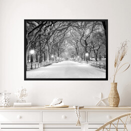Obraz w ramie Central Park w Nowym Jorku pokryty śniegiem o świcie