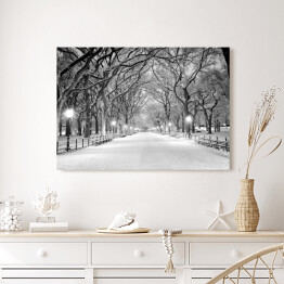 Obraz na płótnie Central Park w Nowym Jorku pokryty śniegiem o świcie