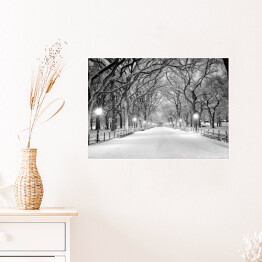 Plakat Central Park w Nowym Jorku pokryty śniegiem o świcie