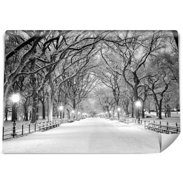 Fototapeta winylowa zmywalna Central Park w Nowym Jorku pokryty śniegiem o świcie