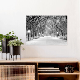 Plakat samoprzylepny Central Park w Nowym Jorku pokryty śniegiem o świcie