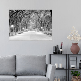 Plakat Central Park w Nowym Jorku pokryty śniegiem o świcie