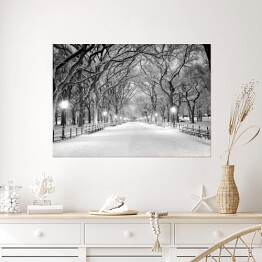Plakat samoprzylepny Central Park w Nowym Jorku pokryty śniegiem o świcie