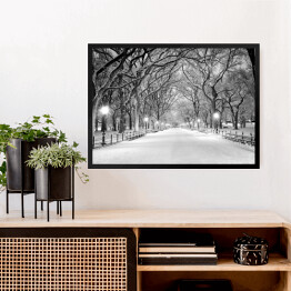 Obraz w ramie Central Park w Nowym Jorku pokryty śniegiem o świcie