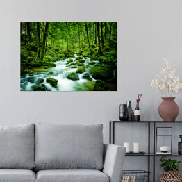 Plakat Górski potok wśród zielonych drzew