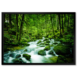 Plakat w ramie Górski potok wśród zielonych drzew