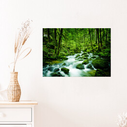 Plakat Górski potok wśród zielonych drzew