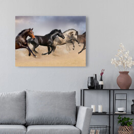 Obraz na płótnie Cztery piękne ciemne konie galopujące po pustyni