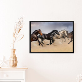 Obraz w ramie Cztery piękne ciemne konie galopujące po pustyni