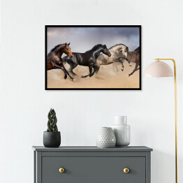 Plakat w ramie Cztery piękne ciemne konie galopujące po pustyni