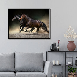 Plakat w ramie Ciemne konie galopujące na ciemnym tle
