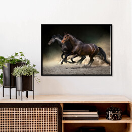 Plakat w ramie Ciemne konie galopujące na ciemnym tle