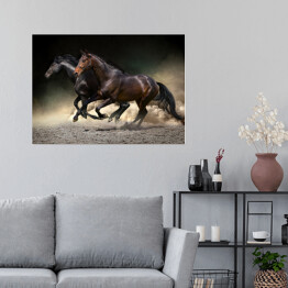 Plakat Ciemne konie galopujące na ciemnym tle