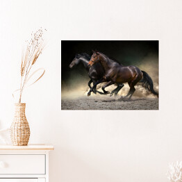 Plakat samoprzylepny Ciemne konie galopujące na ciemnym tle