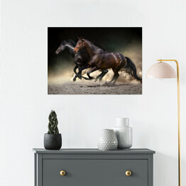 Plakat samoprzylepny Ciemne konie galopujące na ciemnym tle