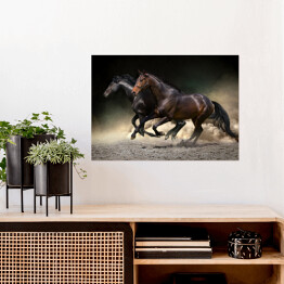 Plakat Ciemne konie galopujące na ciemnym tle