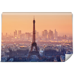 Fototapeta winylowa zmywalna Widok z lotu ptaka, Paryż przed zmierzchem