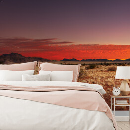 Fototapeta winylowa zmywalna Pustynia Kalahari, Namibia