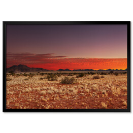 Plakat w ramie Pustynia Kalahari, Namibia