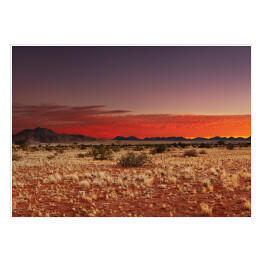 Plakat samoprzylepny Pustynia Kalahari, Namibia