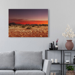 Obraz na płótnie Pustynia Kalahari, Namibia