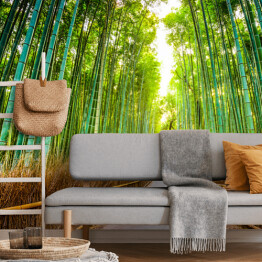 Fototapeta winylowa zmywalna Las bambusowy w Kioto, Japonia