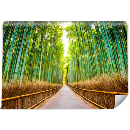 Fototapeta winylowa zmywalna Las bambusowy w Kioto, Japonia