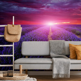Fototapeta winylowa zmywalna Piękny obraz pola lawendy - zachód słońca latem