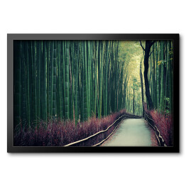 Obraz w ramie Bambusowy gaj