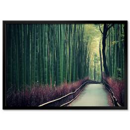 Plakat w ramie Bambusowy gaj