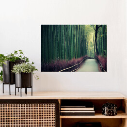 Plakat samoprzylepny Bambusowy gaj