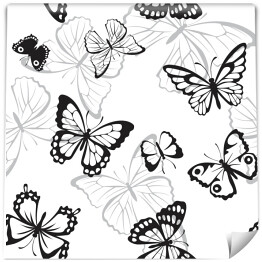 Tapeta samoprzylepna w rolce Czarno białe i szare motyle