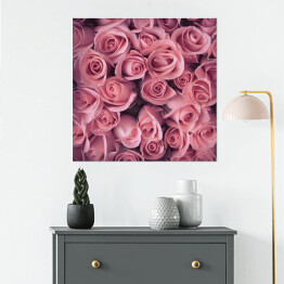 Plakat samoprzylepny Bukiet delikatnych różowych róż